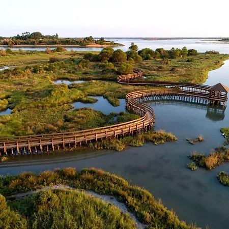 Comfy Seaside Flat-beahost *