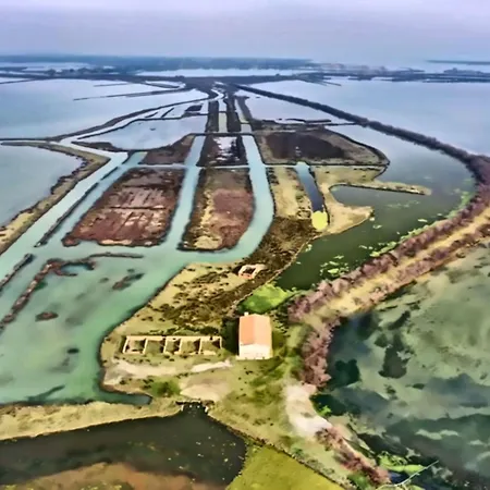 Comfy Seaside Flat-beahost *