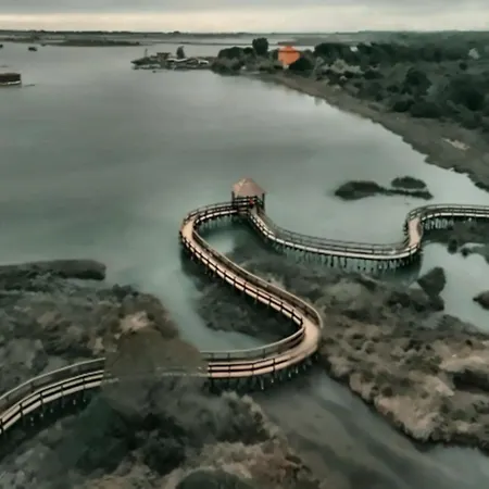 Comfy Seaside Flat-beahost